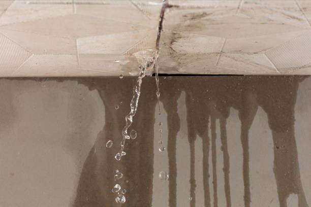 Professional Structural Drying technician working in Ravenna, TX